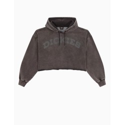 Sudadera con capucha Dickies Hollywood Hoodie
