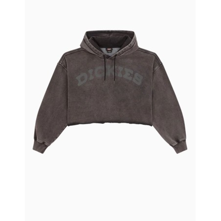 Sudadera con capucha Dickies Hollywood Hoodie