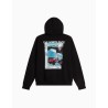 Sudadera The North Face APEX 75 Collage con capucha para hombre