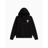 Sudadera The North Face APEX 75 Collage con capucha para hombre