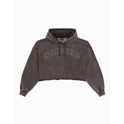 Sudadera con capucha Dickies Hollywood Hoodie