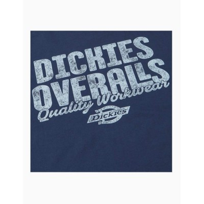 Camiseta Dickies Chinle SS Tee
