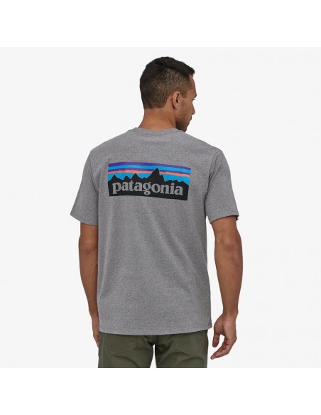 CAMISETA PATAGONIA RESPONSIBILI-TEE