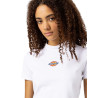 Camiseta Dickies De Manga Corta Maple Valley White