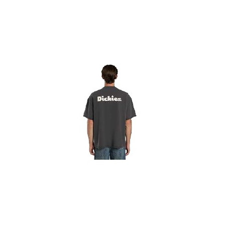 Camiseta Dickies Slayden Black