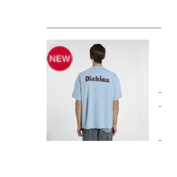 Camiseta Dickies  Slayden  Glacier Lake
