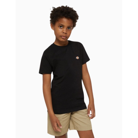 Camiseta Dickies Mapleton Para Niños