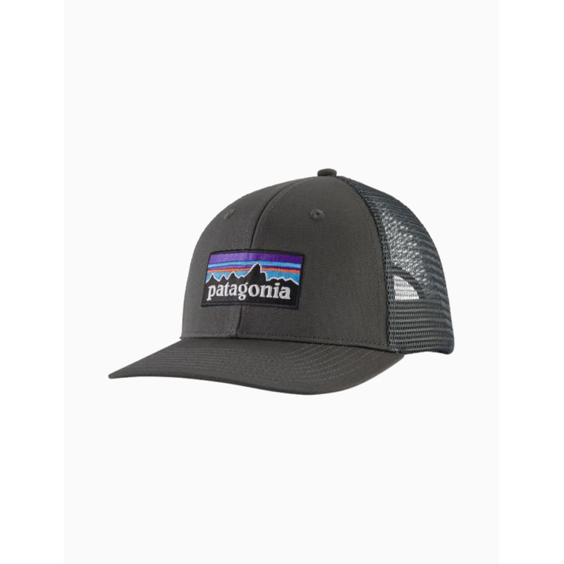 Gorra Patagonia Trucker Logo P-6 LoPro