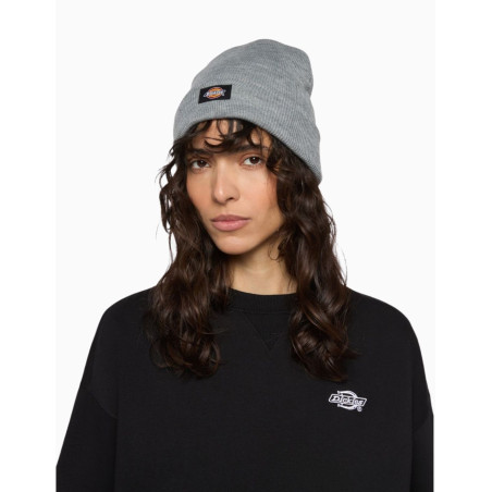 Gorro Dickies Gibsland