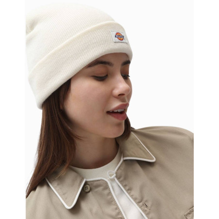 Gorro Dickies Gibsland