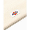 Gorro Dickies Gibsland