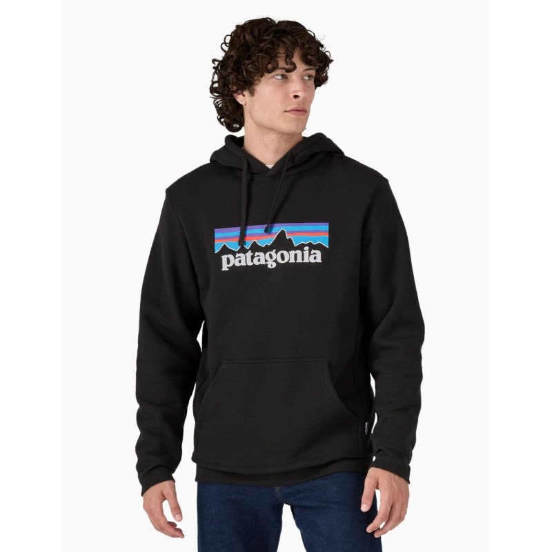 Sudadera Patagonia con capucha Uprisal con el logotipo de P-6