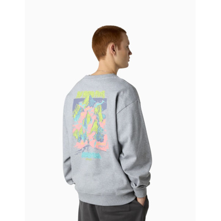 Sudadera The North Face Crewneck U Expedition Celebration Oversize
