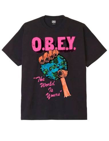 CAMISETA OBEY THE WORLD IS YOURS HEAVYWEIGHT