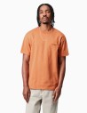 Camiseta Carhartt Wip American Script Redhaven