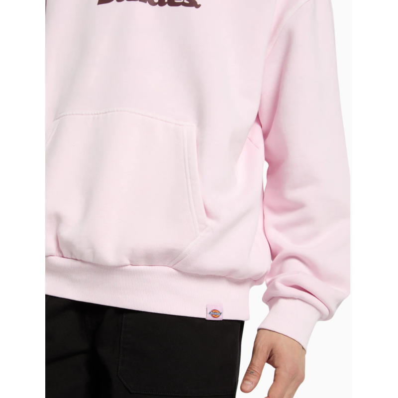 Sudadera  Dickies Slayden GD
