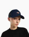 Gorra Dickies Trucker Hanston