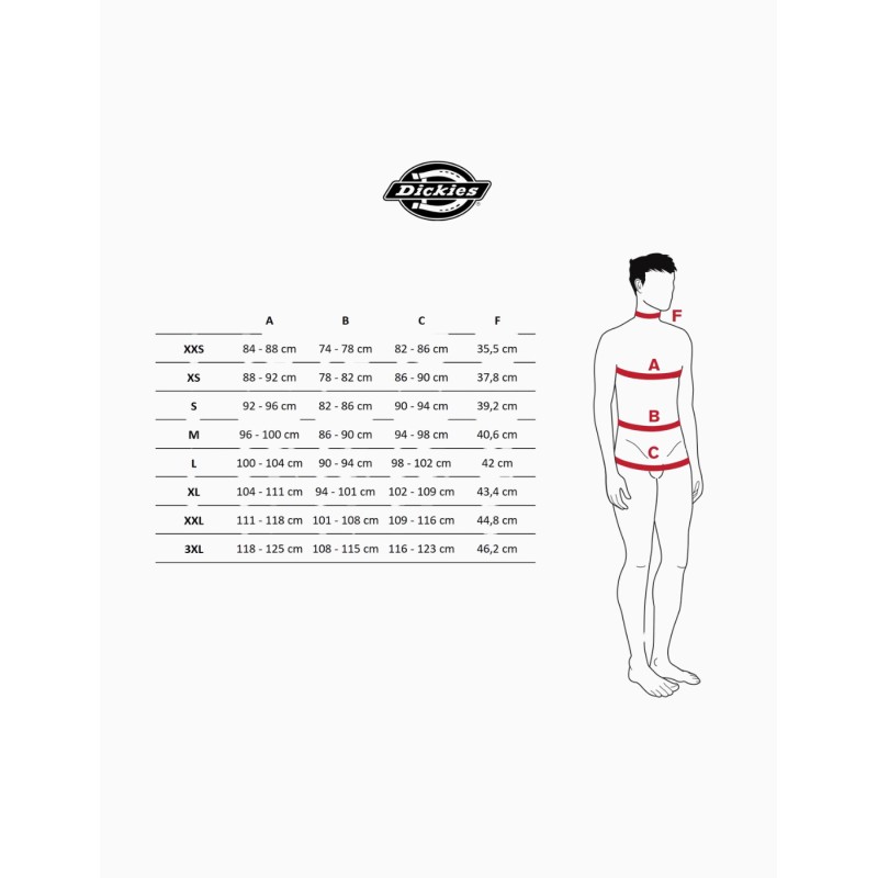 Sudadera Dickies Williston