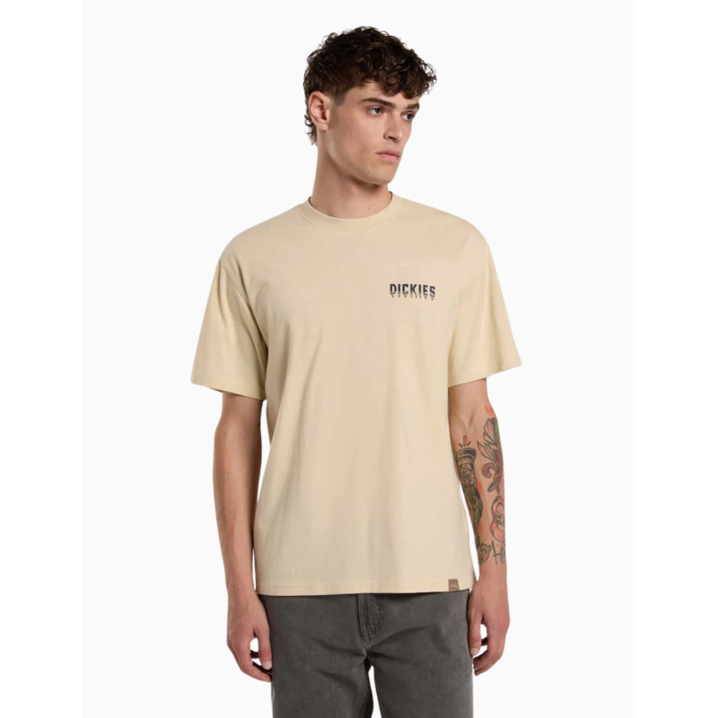 Camiseta Dickies Pelham
