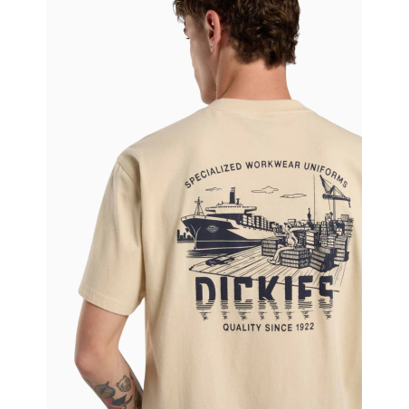 Camiseta Dickies Pelham