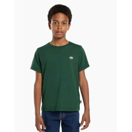 Camiseta Dickies Mapleton Para Niños