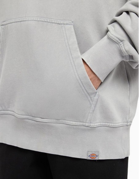 SUDADERA DICKIES CON CAPUCHA PLENTYWOOD