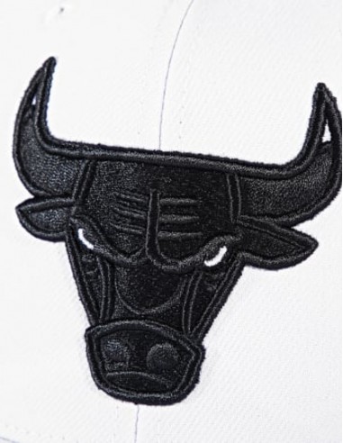 GORRA MITCHELL & NESS SNAPBACK PLANA NBA DAY 11...