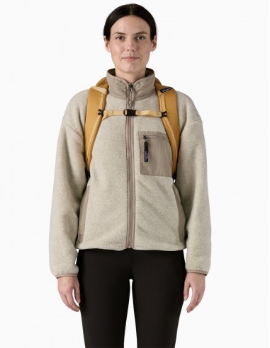 MOCHILA PATAGONIA BLACK HOLE® PACK 32L