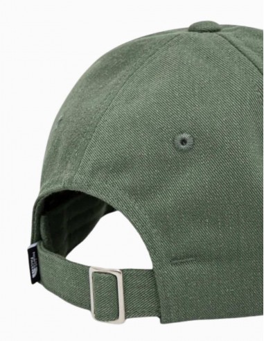 Gorra The North Face Norm Duck Green Deep Nori