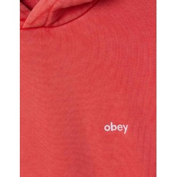 Sudadera Lowercase Pigment Hood Fiery Red