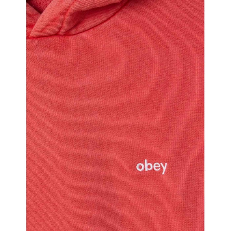 Sudadera Lowercase Pigment Hood Fiery Red