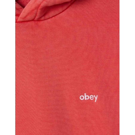 Sudadera Lowercase Pigment Hood Fiery Red