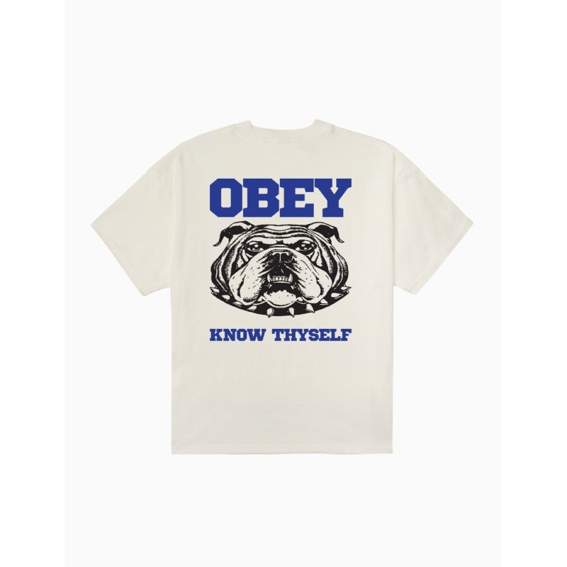 Camiseta Obey Know Thyself Vintage White