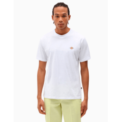 Camiseta Dickies Mapleton TEE
