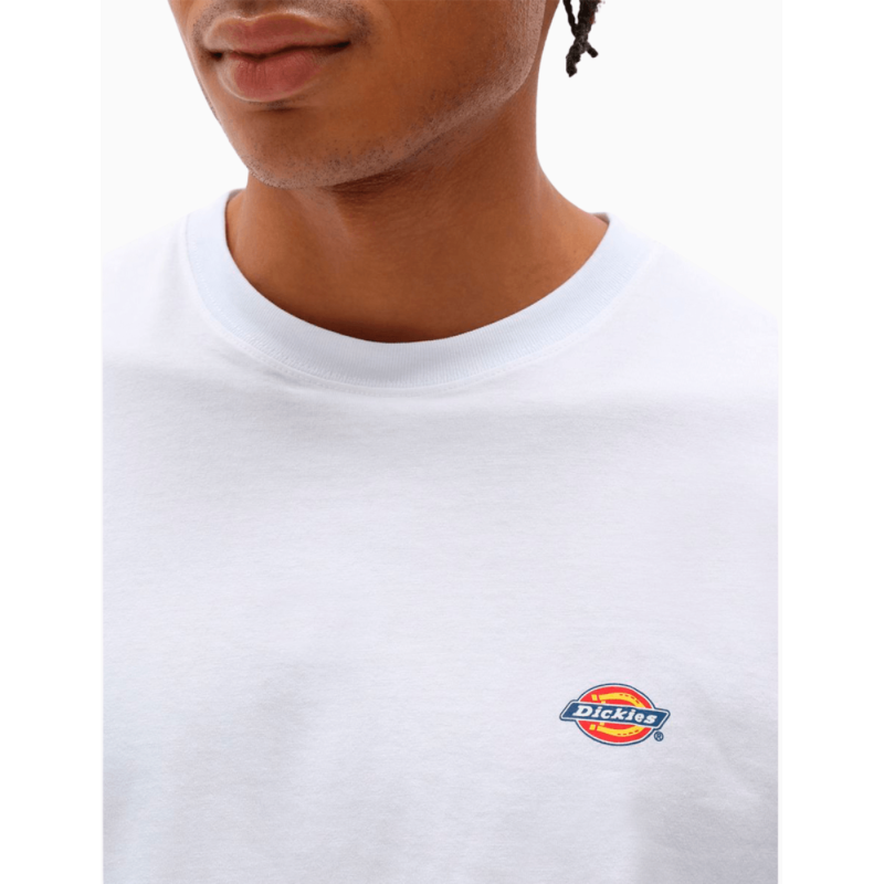 Camiseta Dickies Mapleton TEE