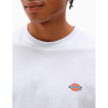 Camiseta Dickies Mapleton TEE