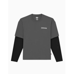 Camiseta Dickies Payson 2FER TEE Negro