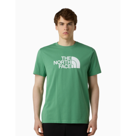 Camiseta The North Face Evolution Half Dome
