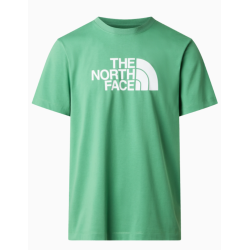 Camiseta The North Face Evolution Half Dome