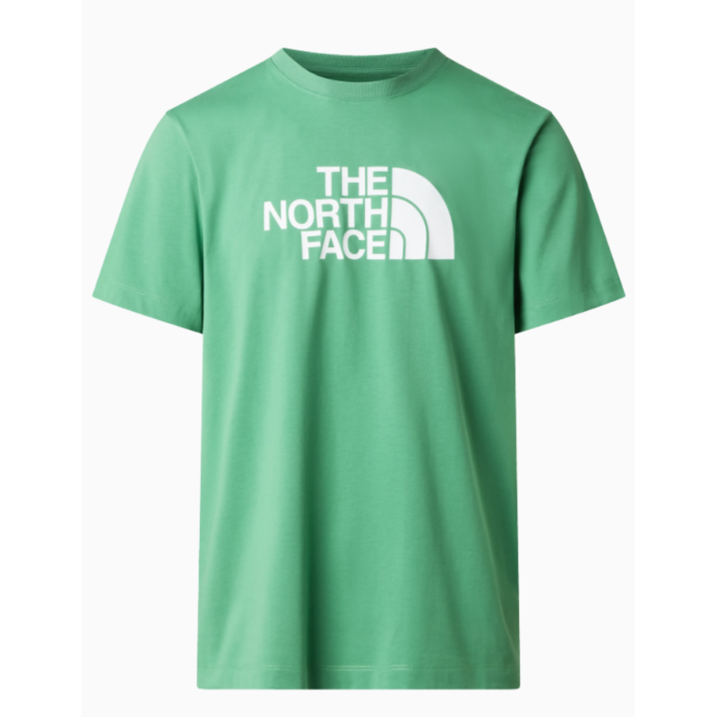 Camiseta The North Face Evolution Half Dome