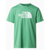 Camiseta The North Face Evolution Half Dome
