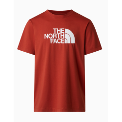 Camiseta The North Face Evolution Half Dome