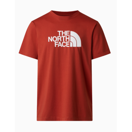 Camiseta The North Face Evolution Half Dome