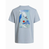Camiseta The North Face Mountain Skie Frost Grey