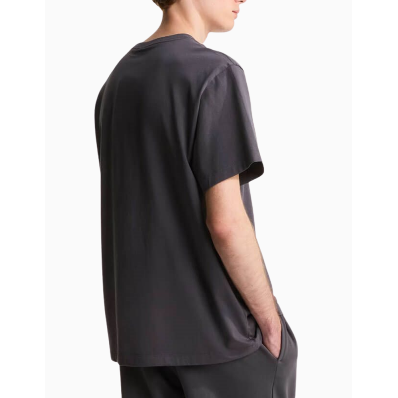 Camiseta The North Face Center Logo