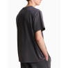 Camiseta The North Face Center Logo