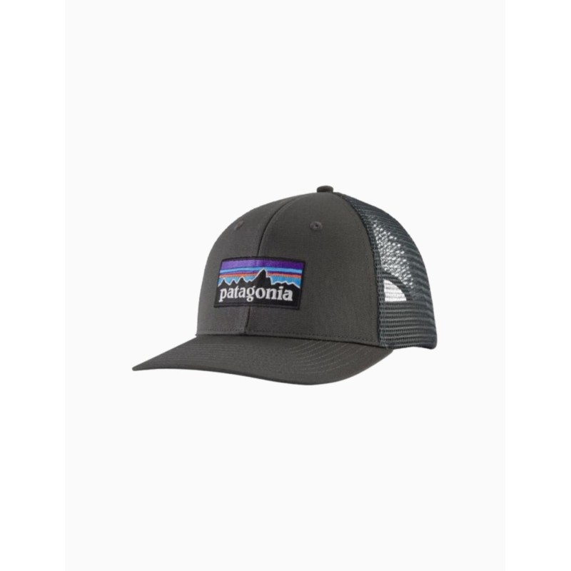 Gorra Patagonia Trucker Logo P-6 LoPro