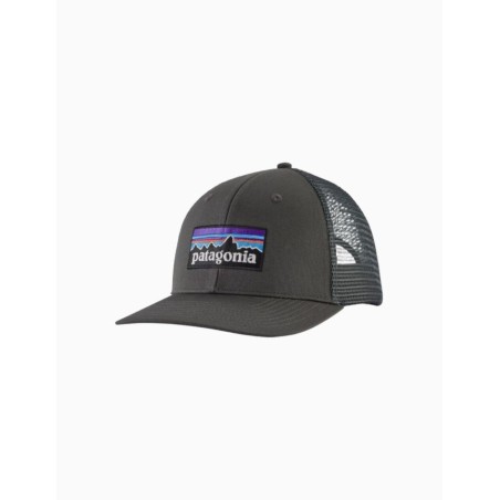 Gorra Patagonia Trucker Logo P-6 LoPro