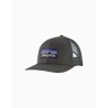 Gorra Patagonia Trucker Logo P-6 LoPro