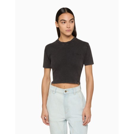 Camiseta Manga Corta Dickies Plentywood SS Tee Negra